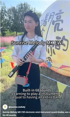 Sunrise Melody MK elektrisk fløytespiller Fokus på instrumenter