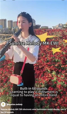 Sunrise Melody MK Elektronisk klarinett Fokus på instrumenter