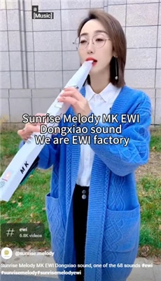 Sunrise Melody MK Aerophone Instruments Musikk er en del av livet