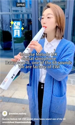 Sunrise Melody MK Ewi Elektronisk blåseinstrument Musikk er en del av livet