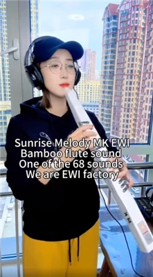 Sunrise Melody M3 Aerophone Blåseinstrument Musikk er en del av livet