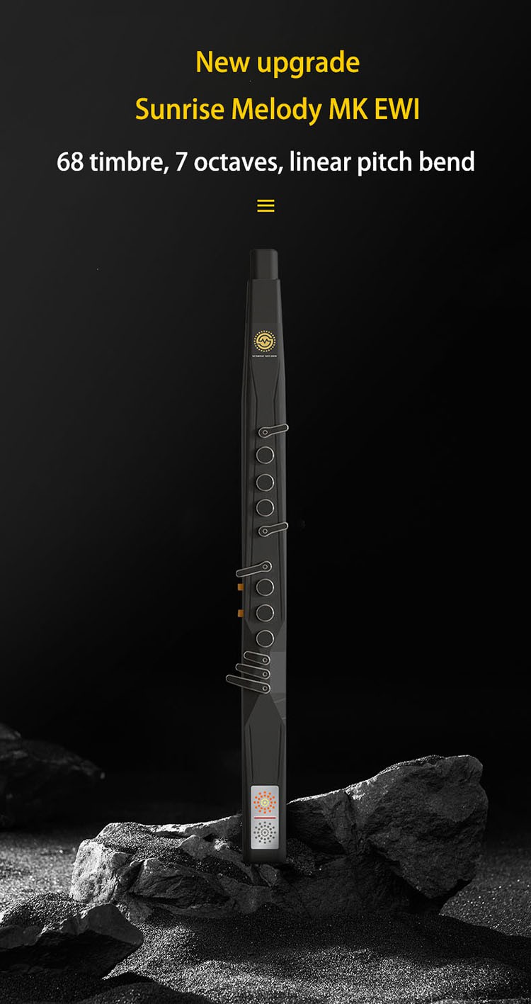 electronic wind instrument